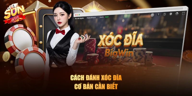 Cách đánh Xóc Đĩa cơ bản cần biết